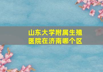 山东大学附属生殖医院在济南哪个区