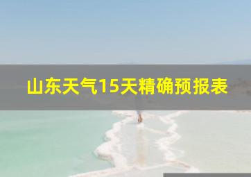 山东天气15天精确预报表