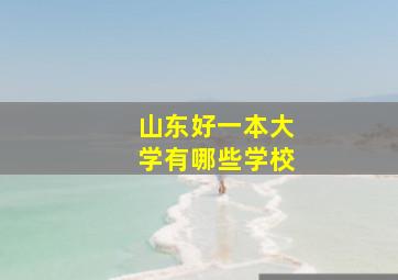 山东好一本大学有哪些学校