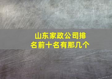 山东家政公司排名前十名有那几个