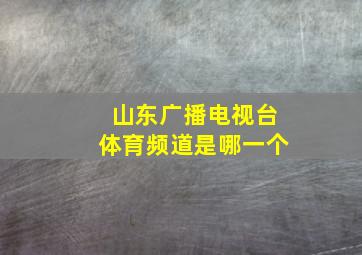 山东广播电视台体育频道是哪一个