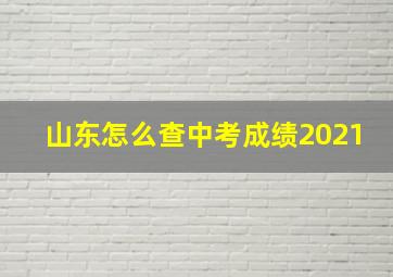 山东怎么查中考成绩2021