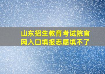 山东招生教育考试院官网入口填报志愿填不了