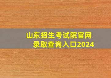 山东招生考试院官网录取查询入口2024