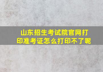 山东招生考试院官网打印准考证怎么打印不了呢