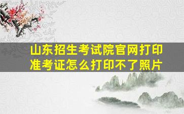 山东招生考试院官网打印准考证怎么打印不了照片