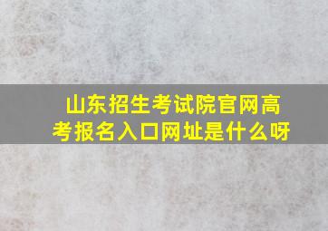 山东招生考试院官网高考报名入口网址是什么呀