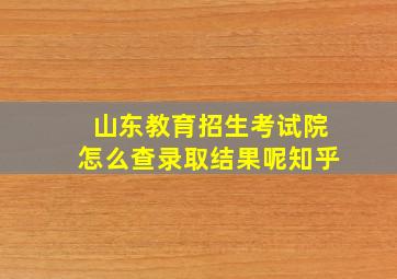 山东教育招生考试院怎么查录取结果呢知乎