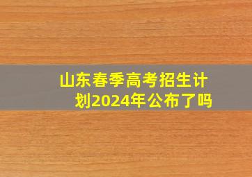 山东春季高考招生计划2024年公布了吗