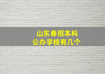 山东春招本科公办学校有几个