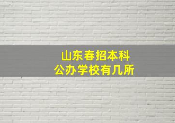 山东春招本科公办学校有几所