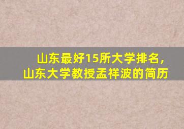 山东最好15所大学排名,山东大学教授孟祥波的简历