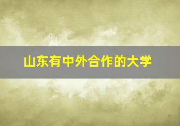 山东有中外合作的大学