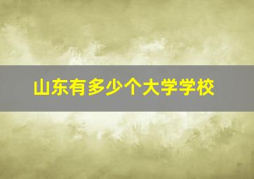 山东有多少个大学学校