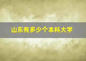 山东有多少个本科大学