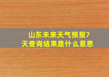 山东未来天气预报7天查询结果是什么意思