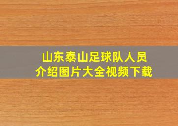 山东泰山足球队人员介绍图片大全视频下载