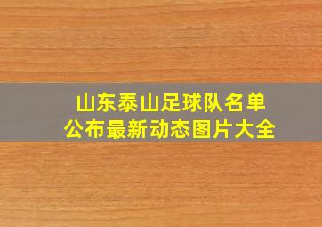 山东泰山足球队名单公布最新动态图片大全