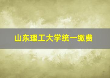 山东理工大学统一缴费