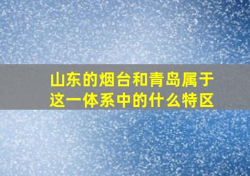 山东的烟台和青岛属于这一体系中的什么特区