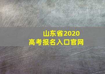 山东省2020高考报名入口官网