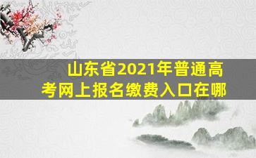 山东省2021年普通高考网上报名缴费入口在哪