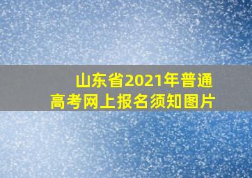 山东省2021年普通高考网上报名须知图片