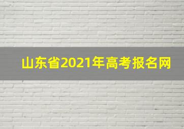 山东省2021年高考报名网