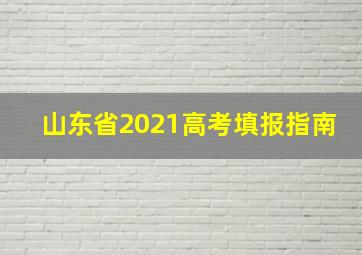 山东省2021高考填报指南