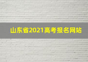 山东省2021高考报名网站