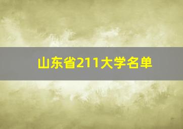 山东省211大学名单