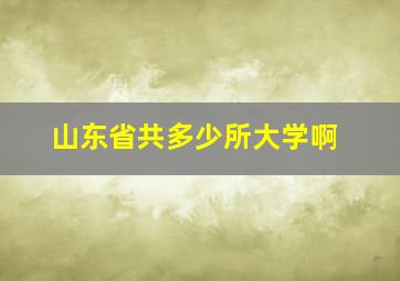 山东省共多少所大学啊