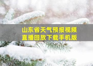 山东省天气预报视频直播回放下载手机版