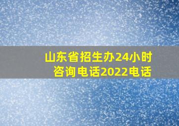 山东省招生办24小时咨询电话2022电话