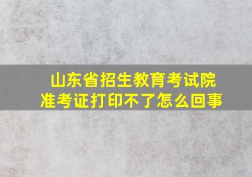 山东省招生教育考试院准考证打印不了怎么回事