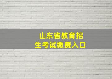 山东省教育招生考试缴费入口