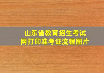 山东省教育招生考试网打印准考证流程图片