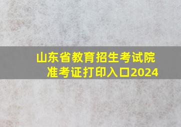 山东省教育招生考试院准考证打印入口2024