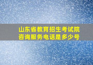 山东省教育招生考试院咨询服务电话是多少号