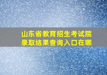 山东省教育招生考试院录取结果查询入口在哪