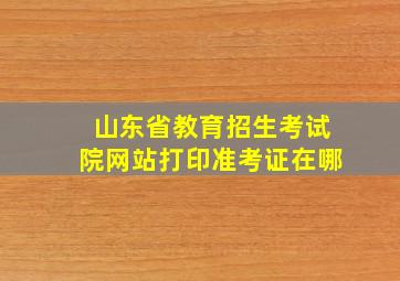 山东省教育招生考试院网站打印准考证在哪