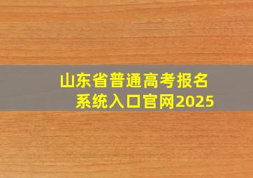 山东省普通高考报名系统入口官网2025