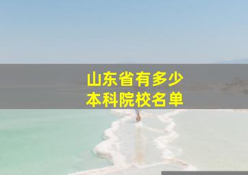 山东省有多少本科院校名单