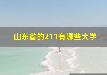 山东省的211有哪些大学