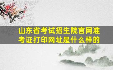 山东省考试招生院官网准考证打印网址是什么样的