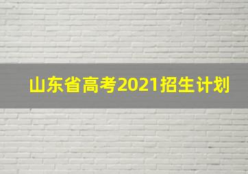 山东省高考2021招生计划