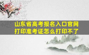 山东省高考报名入口官网打印准考证怎么打印不了