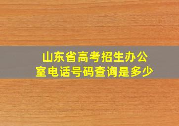 山东省高考招生办公室电话号码查询是多少