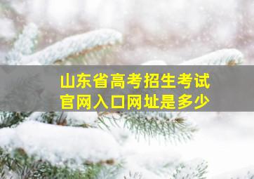 山东省高考招生考试官网入口网址是多少