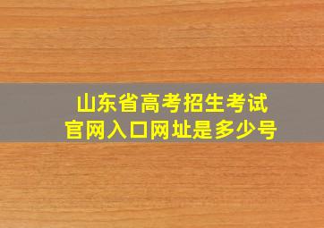 山东省高考招生考试官网入口网址是多少号